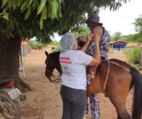 ?Nós conversamos com ele e pedimos para ele descer do cavalo para ser vacinado, mas ele até brincou e disse que se descesse não ia mais subir. Então tudo aconteceu ali mesmo e ele(Imagem:Reprodução)