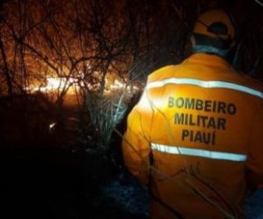 De acordo com o Corpo de Bombeiros, o incêndio teve origem no estado do Ceará, em cima da serra, e se propagou atingindo o Piauí. O combate ao fogo já dura mais de dez dias e está(Imagem:Reprodução)