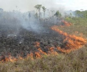 PrevFogo vai fortalecer combate a incêndios em áreas de proteção federal(Imagem:Reprodução)