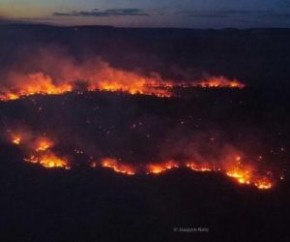 Combate a incêndio na região da Serra da Capivara chega ao 4º dia(Imagem:Reprodução)