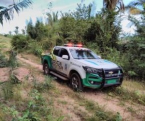 Depois de buscas na mata, os policiais conseguiram localizar o suspeito.(Imagem:Reprodução)