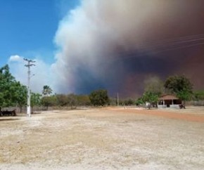 Incêndio na divisa do Piauí com o Ceará entra no 7º dia ainda fora de controle(Imagem:Reprodução)