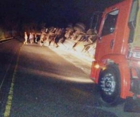 Um caminhão que transportava frutas tombou na madrugada de domingo (10) na BR 316, no município de Barro Duro, distante 98 km distante de Teresina.  A Polícia Rodoviária Federal do(Imagem:Reprodução)
