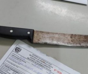 A Polícia Civil do Piauí investiga um homem suspeito de matar um gato com golpes de facão no sábado (18), em Teresina. A dona do animal denunciou o próprio vizinho como o autor do(Imagem:Reprodução)