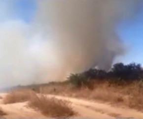 No assentamento não existe brigadas de incêndio e toda vez quando há queimadas, os moradores são os responsáveis por enfrentar o fogo. O PrevFogo, vinculado ao Ibama, é a instituiç(Imagem:Reprodução)