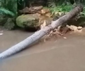 Jovem morre após ser atingida por palmeira durante chuva no Piauí(Imagem:Reprodução)