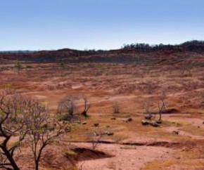 A Secretaria de Estado do Meio Ambiente e Recursos Hídricos do Piauí (Semar) afirmou que está adquirindo mudas de plantas nativas da região para reativação do núcleo. 