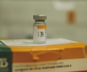 Mais de 15 mil doses Coronavac chegam ao Piauí para imunizar idosos de 80 a 84 anos(Imagem:Reprodução)