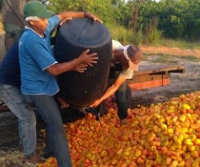 Confira a nota completa da Equatorial Piauí: A Equatorial Piauí esclarece que a interrupção no fornecimento de energia ocorrida na tarde de ontem (18), na região dos Tabuleiros Lit(Imagem:Reprodução)