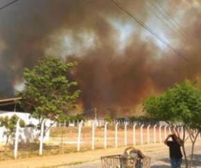 A Secretaria de Estado do Meio Ambiente e Recursos Hídricos (Semar) publicou uma nova portaria estabelecendo mudanças na proibição de queimadas controladas em todo o Piauí. No últi(Imagem:Reprodução)