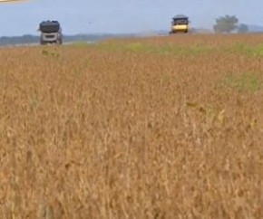 Produtores comemoram federalização de rodovias no cerrado piauiense(Imagem:Reprodução)