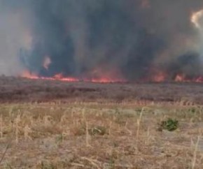 Uma equipe do Batalhão da Polícia Ambiental e da Delegacia do Meio Ambiente estão a caminho do município de Curimatá para investigar onde o fogo surgiu.(Imagem:Reprodução)