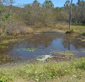 Recém-nascida é encontrada morta com cordão umbilical em Castelo do Piauí(Imagem:Reprodução)