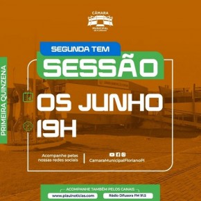 Inicia nesta segunda o primeiro ciclo de sessões ordinárias da Câmara Municipal de Floriano em junho.(Imagem:Reprodução/Instagram)