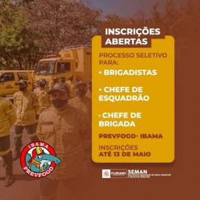 Prevfogo-IBAMA abre inscrições de processo seletivo para brigadistas em Floriano.(Imagem:Secom)