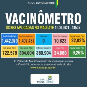Covid-19 mata 14 pessoas e deixa 1,1 mil infectadas com a doença em 24h no Piauí(Imagem:Divulgação)