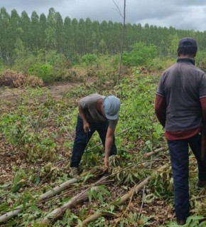 Segundo o MPT, o local não tinha banheiro e os homens estavam alojados em uma borracharia, o que vai contra a legislação que regulamenta as condições de higiene e conforto.  ?Além(Imagem:Reprodução)