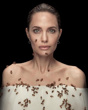 Angelina Jolie faz ensaio coberta de abelhas e diz ter ficado sem banho(Imagem:Reprodução)
