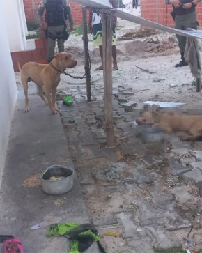 kksksksksksksk(Imagem:Reprodu&ccedil;&atilde;o)