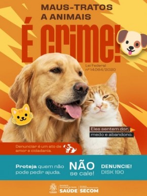 Prefeitura de Floriano intensifica a&ccedil;&otilde;es do Abril Laranja contra maus-tratos a animais.(Imagem:Reprodu&ccedil;&atilde;o/Instagram)