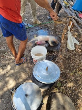 Trabalhadores resgatados em situação análoga à escravidão são flagrados comendo tamanduás no Piauí.(Imagem:Divulgação/MPT-PI)