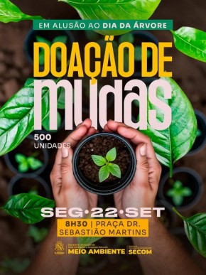 Prefeitura de Floriano realizará doação de mudas em alusão ao Dia da Árvore.(Imagem:Reprodução/Instagram)