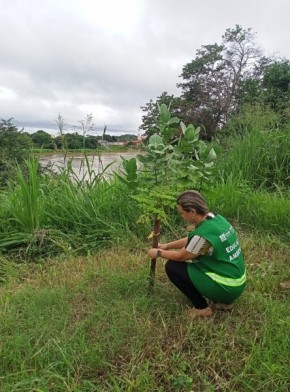 SEMAN promove ação de monitoramento de plantios realizados às margens do rio Parnaíba.(Imagem:Secom)
