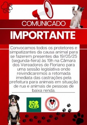 Organizações de proteção animal promovem mobilização por castrações em Floriano.(Imagem:Reprodução/Instagram)