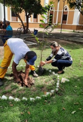 Seman realiza plano de arborização com plantio em praças municipais.(Imagem:Secom)