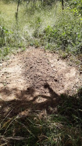 Suposta cova com corpo de homem encontrada em fazenda na zona rural de Campo Maior, no Piauí.(Imagem:Reprodução)