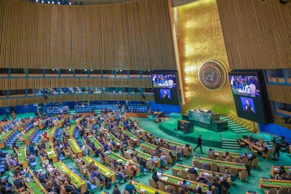 A secretária das Mulheres, Zenaide Lustosa, participa da 68ª Sessão da Comissão sobre a Situação da Mulher (CSW), realizada em Nova Iorque.(Imagem:Divulgação)