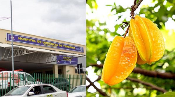 Polícia vai investigar possível envenenamento de crianças que comeram carambolas em Teresina(Imagem:Divulgação)