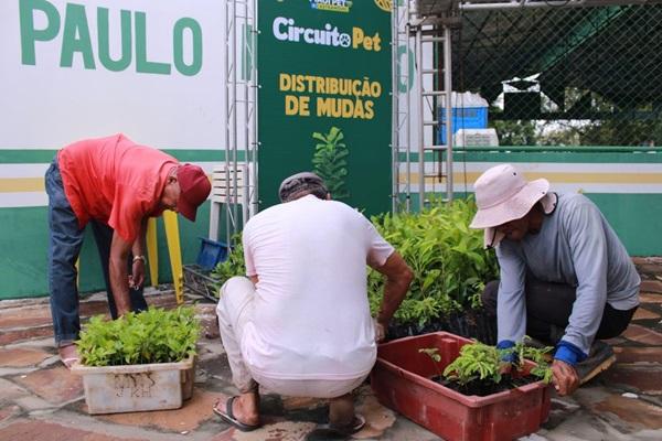 Distribuição de mil mudas nativas e frutíferas pelo programa PRO Verde Piauí(Imagem:Reprodução)