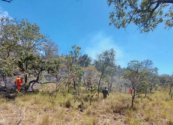  Incêndio de grandes proporções atinge área de 380 hectares de vegetação no Piauí.(Imagem:Reprodução )