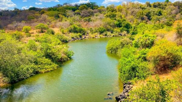 Do primeiro para o segundo trimestre, o desmatamento caiu de 4,9 mil hectares para 4,6 mil, uma redução de 6,2%.(Imagem:Ascom Semarh)