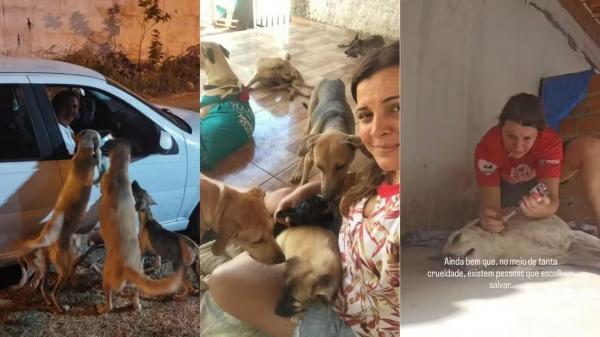 Enfermeira deixa profiss&atilde;o e resgata cerca de 200 c&atilde;es e gatos como protetora de animais no Piau&iacute;.(Imagem:Reprodu&ccedil;&atilde;o/Arquivo pessoal)