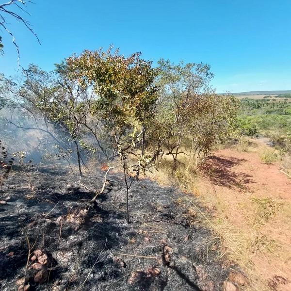 Incêndio de grandes proporções atinge área de 380 hectares de vegetação no Piauí.(Imagem:Reprodução)