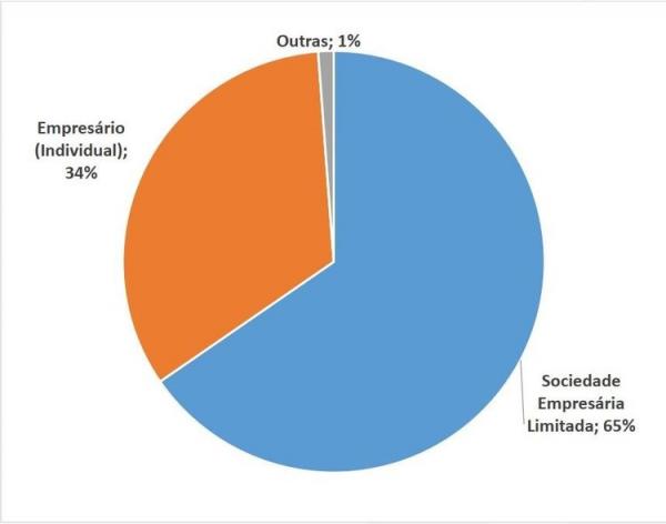 Gráfico representa as naturezas jurídicas abertas em 2023.(Imagem:Divulgação)