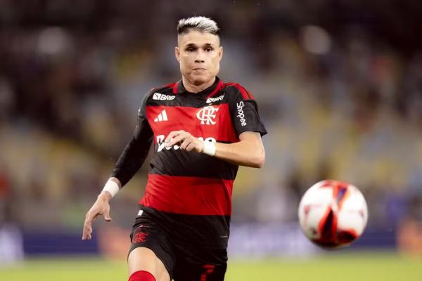 Luiz Ara&uacute;jo (Imagem:Adriano Fontes/Flamengo)