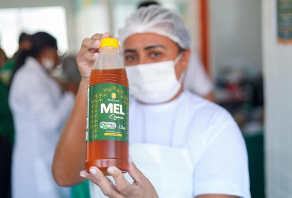 A primeira entrega já foi realizada no município de Uruçuí e o mel não será servido puro, mas usado em receitas.(Imagem:Letícia Santos)