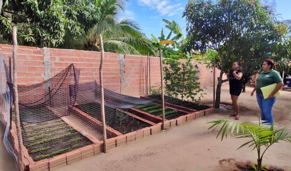 Programa Fomento Rural gera renda para mais de duas mil famílias vulneráveis e impulsiona produtividade no Piauí(Imagem:Tavynho Neto)