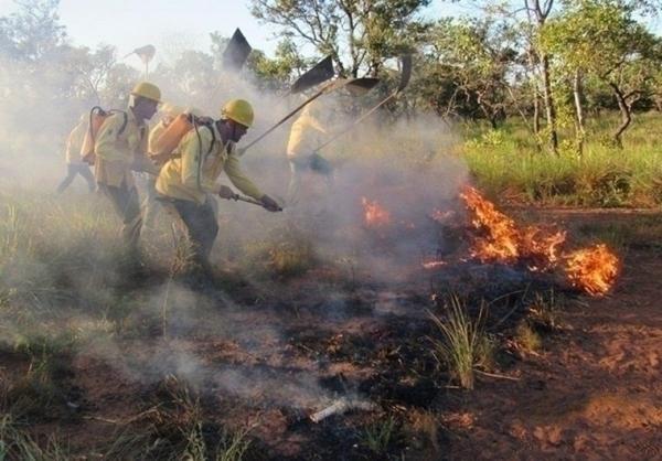 CBMEPI tem agido de forma incansável para proteger o meio ambiente e a população. (Imagem:CBMEPI)