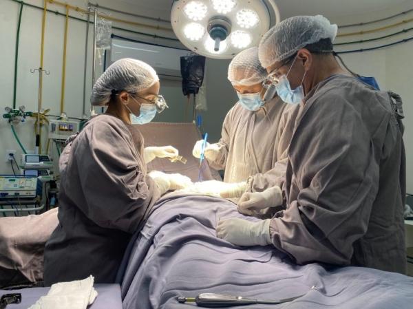  HGV ampliou o n&uacute;mero de transplantes de rins e c&oacute;rneas.(Imagem:Ascom Sesapi)