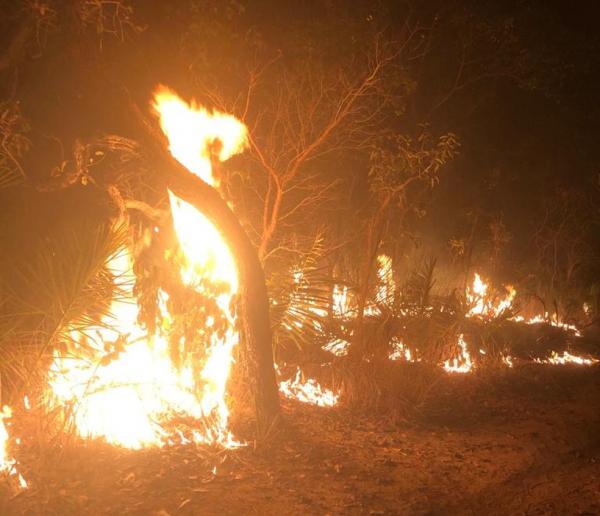 Portaria proíbe a queima controlada em todo o Piauí(Imagem:Reprodução)
