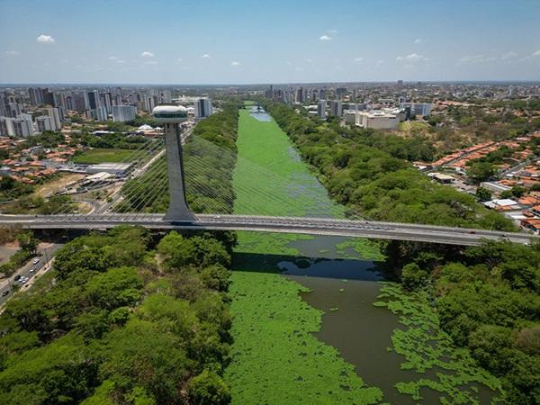 Nova lei institui programa de arborização urbana e recuperação de terrenos baldios em Teresina(Imagem:Renato Andrade/Cidadeverde.com)