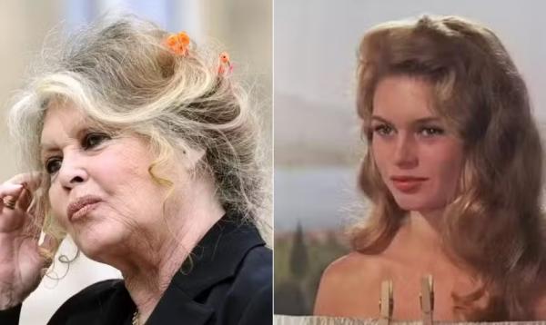 Brigitte Bardot (Imagem:Reprodução)