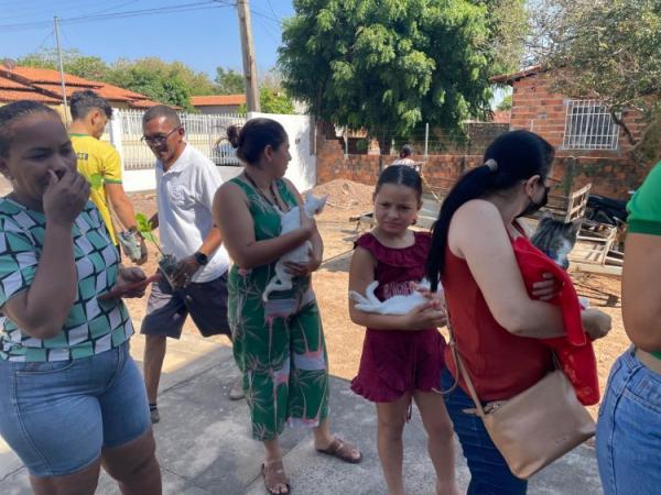 Programa Meu Amigo Pet leva cuidados aos animais e incentiva sustentabilidade no Cajueiro II.(Imagem:Secom)
