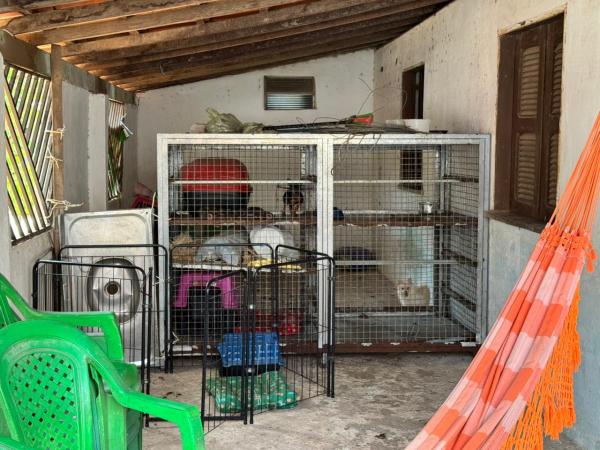 Um canil clandestino que funcionava sem autorização administrativa em Parnaíba foi alvo da operação ?Lucro Sujo? da Secretaria de Segurança Pública (SSP) do Piauí. Ao todo, 10 anim(Imagem:SSP-PI)