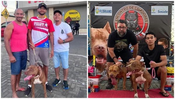 Encontro de criadores de pitbulls em Floriano celebra 7 anos do grupo e combate preconceitos.(Imagem:Reprodução/Instagram)