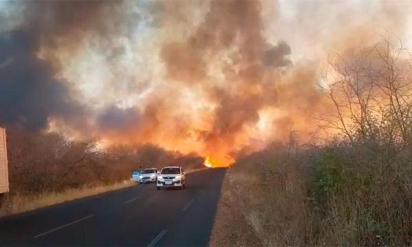 Cresce em 125% focos de incêndio e Piauí bate recorde histórico de queimadas(Imagem:Reprodução)
